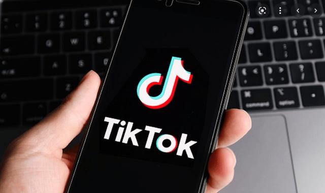 TikTok Gardening Communities Flourish 
